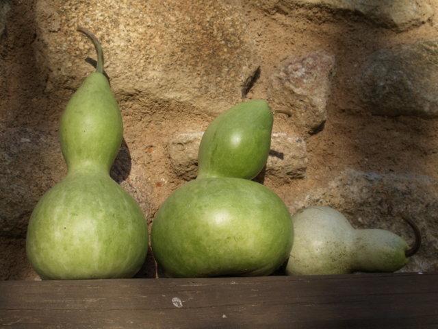 La Casona De Valfrio- Adults Only ξενώνας Collado  Εξωτερικό φωτογραφία